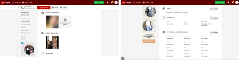 Les profils Becoquin sont peu détaillés et ne permettent pas de découvrir les envies coquines des membres